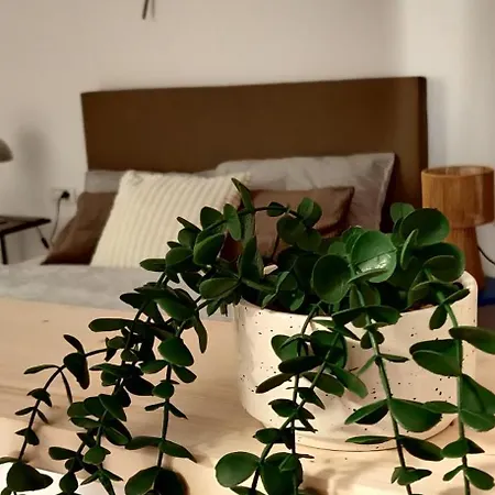 Seven 7 Apartment *